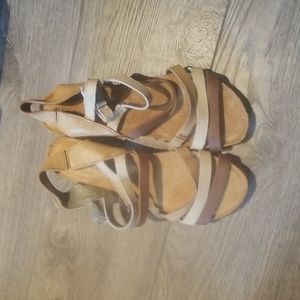 COPY - El naturalista